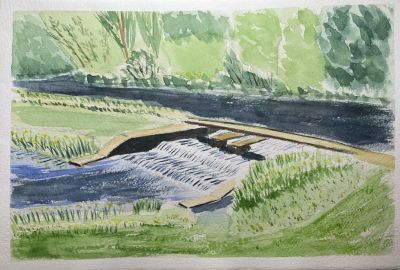 L'Ille à Betton - mai 2022